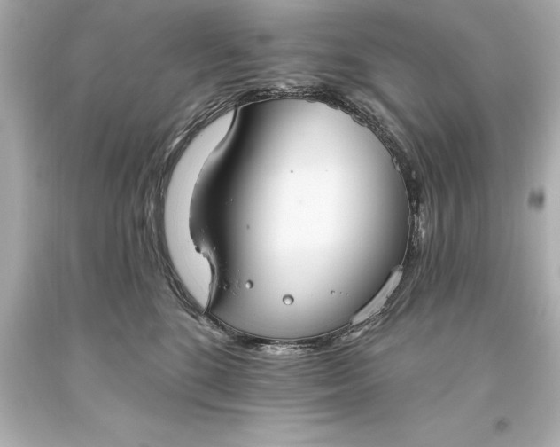 X0000093620520200710291229