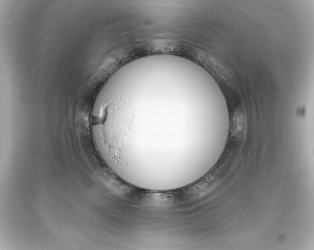 X0000093620522200710291229
