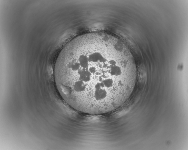 X0000093620523200710291229