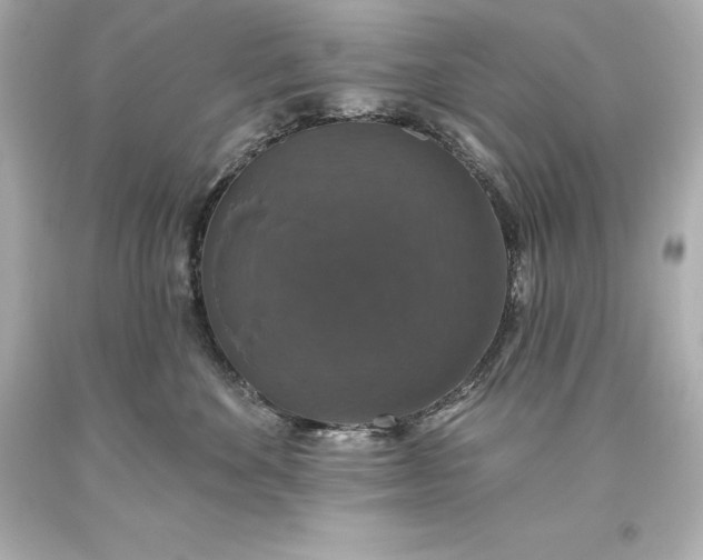 X0000093620524200710291229
