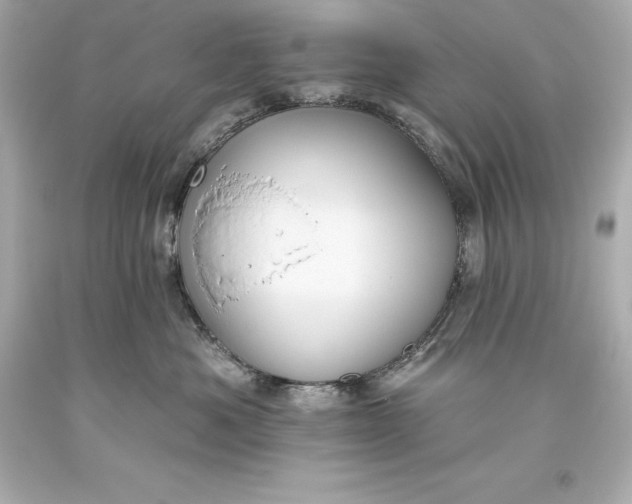 X0000093620525200710291229