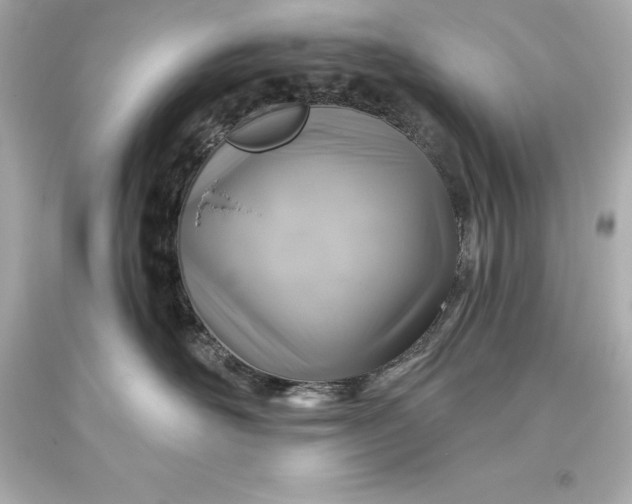 X0000093620526200710291229