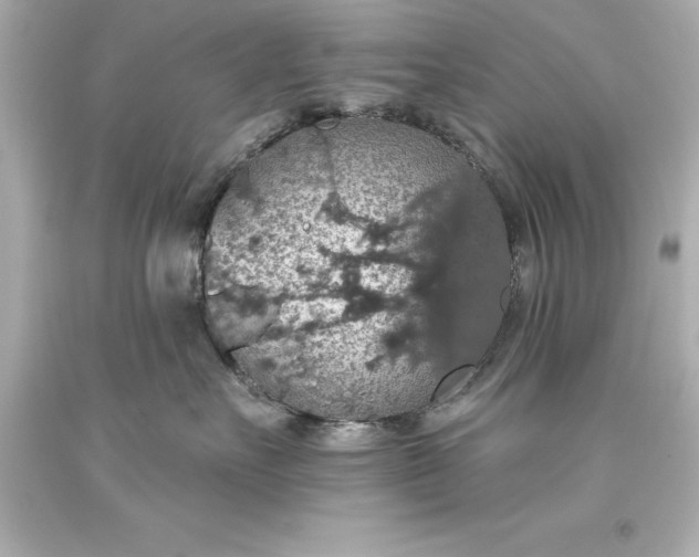 X0000093620527200710291228