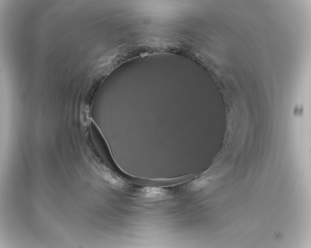X0000093620528200710291228