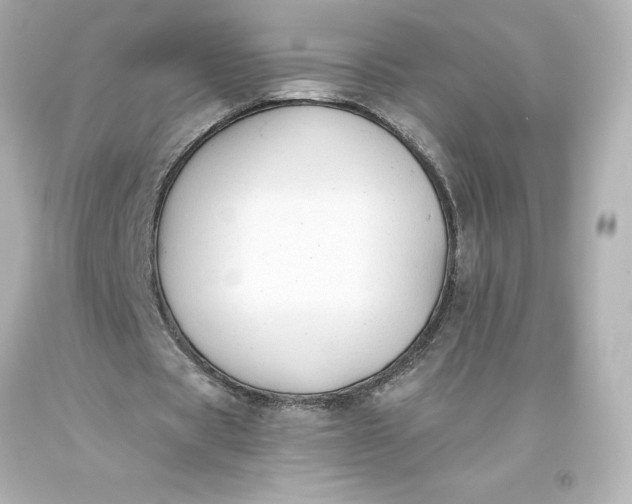 X0000093620529200710291228
