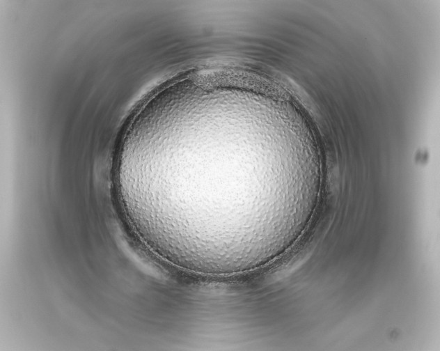 X0000093620530200710291228
