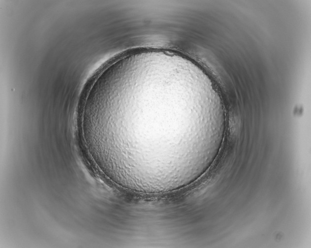 X0000093620532200710291228