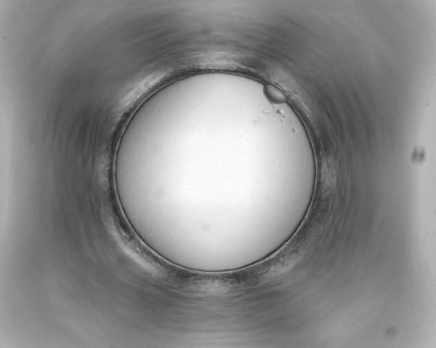 X0000093620533200710291228