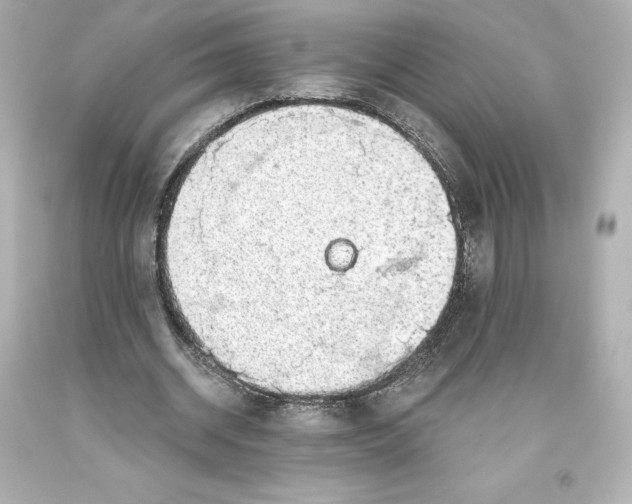 X0000093620534200710291228