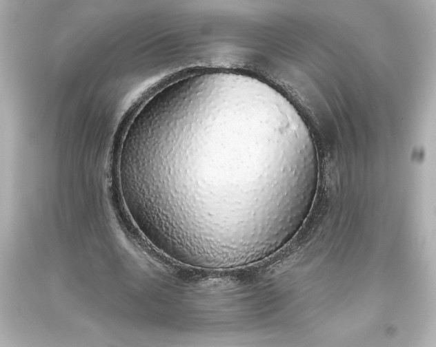 X0000093620536200710291228