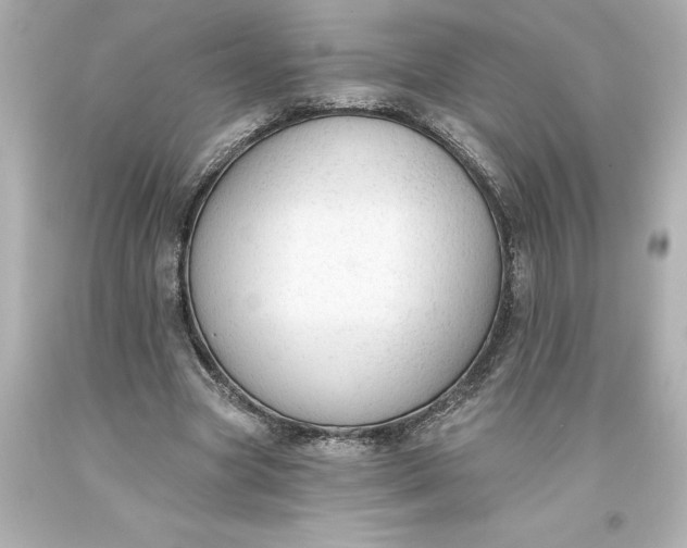 X0000093620537200710291228
