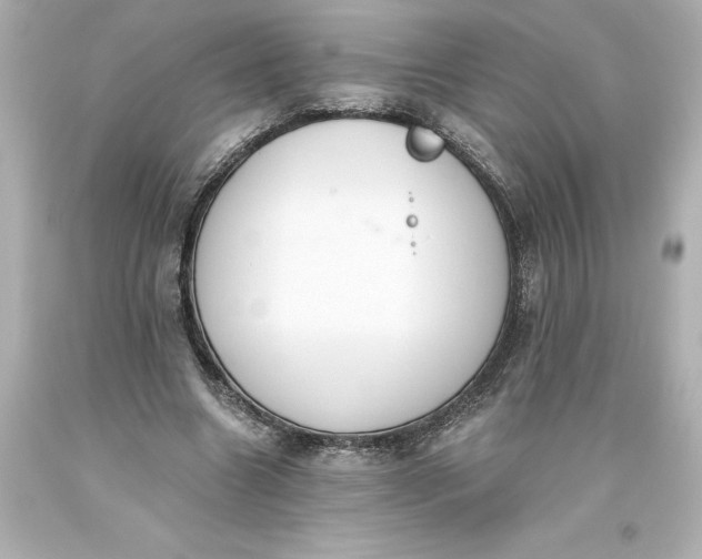 X0000093620538200710291228