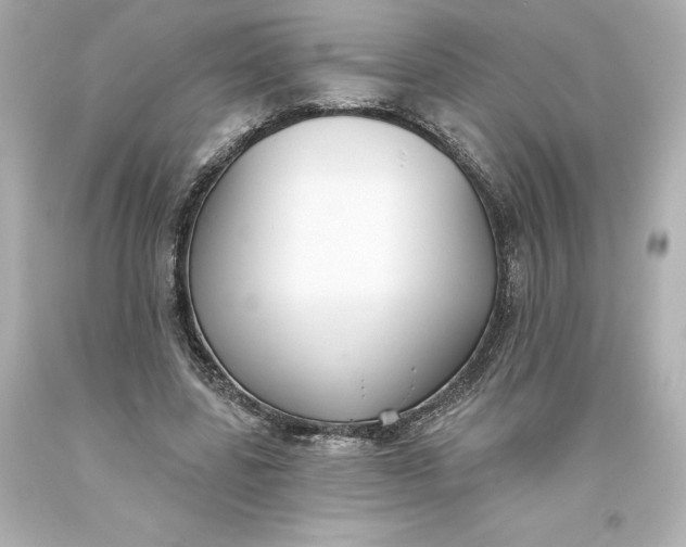 X0000093620539200710291228