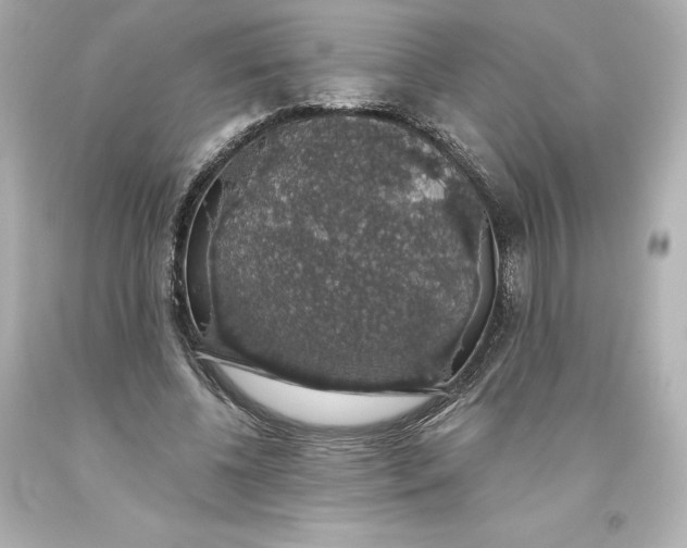 X0000093620540200710291228