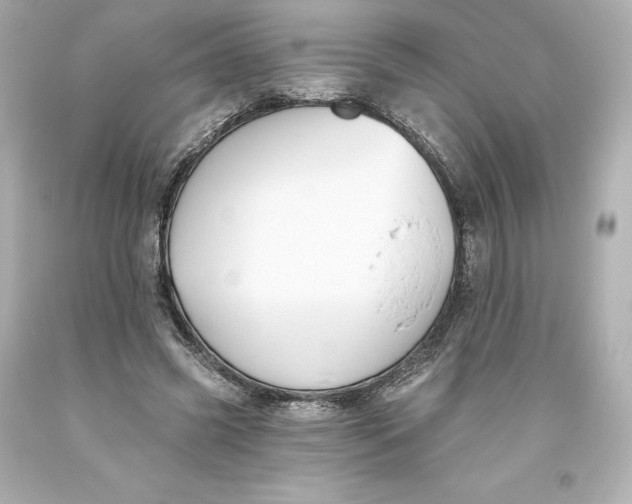 X0000093620541200710291228
