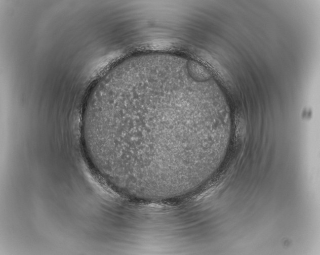 X0000093620542200710291228
