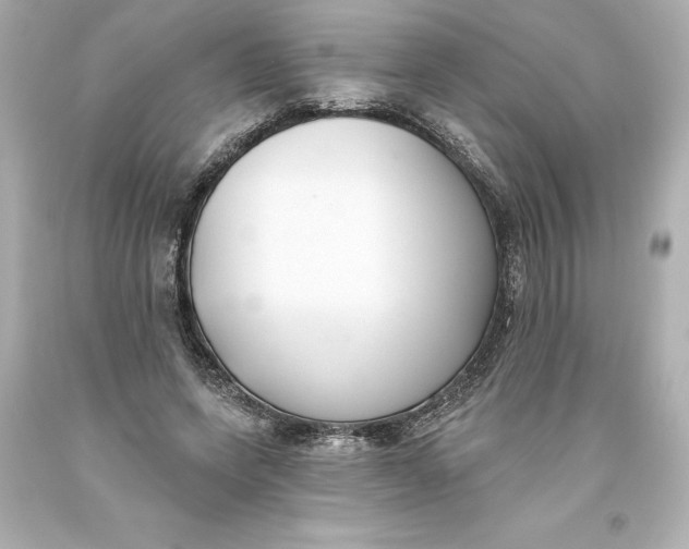 X0000093620543200710291228