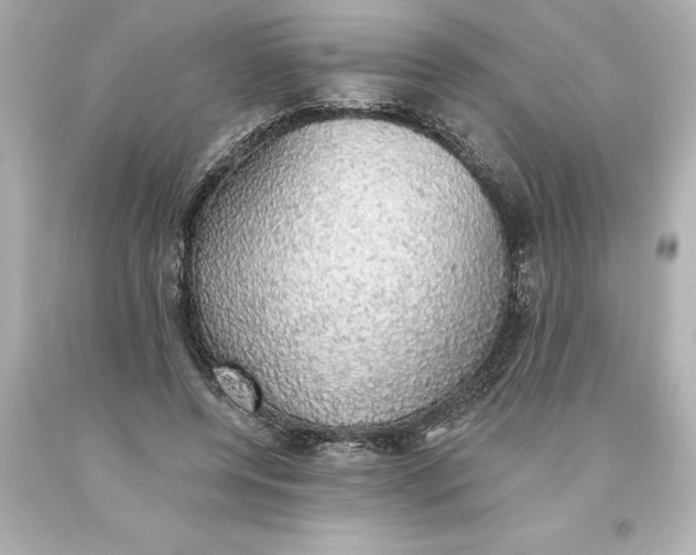 X0000093620544200710291228