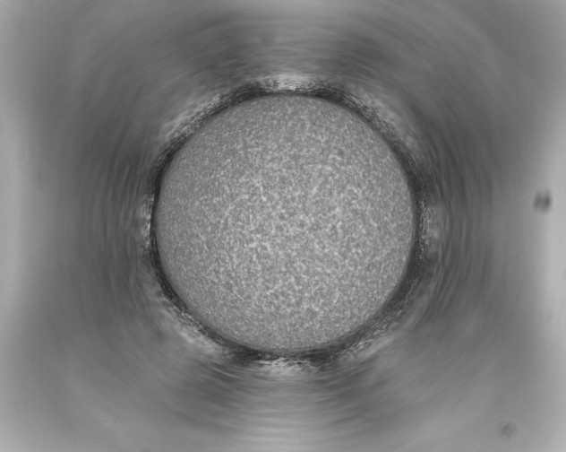 X0000093620545200710291228