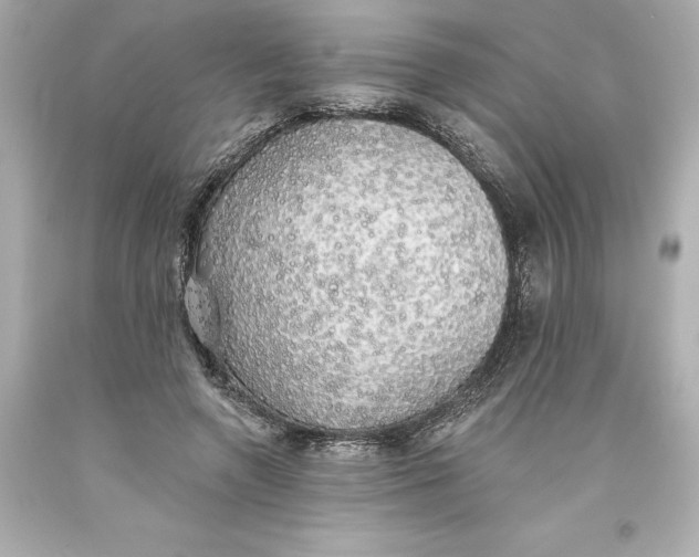 X0000093620546200710291228