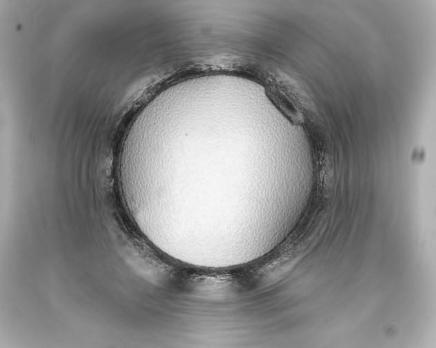 X0000093620548200710291228