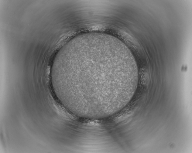 X0000093620550200710291228