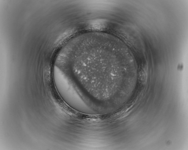 X0000093620552200710291228