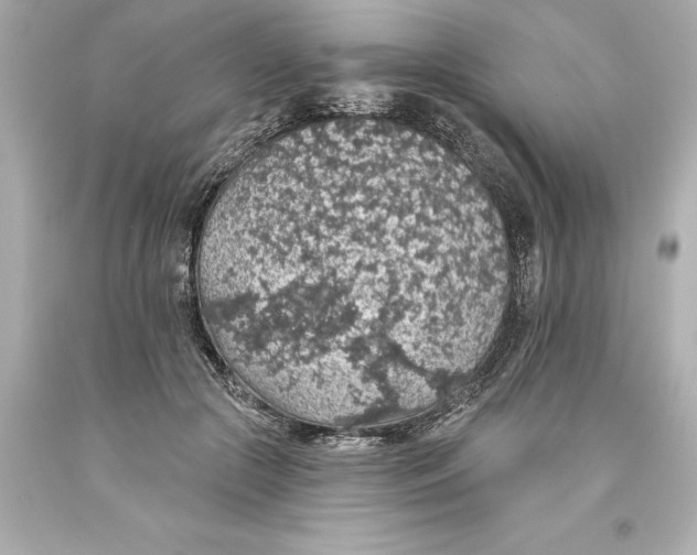 X0000093620553200710291228