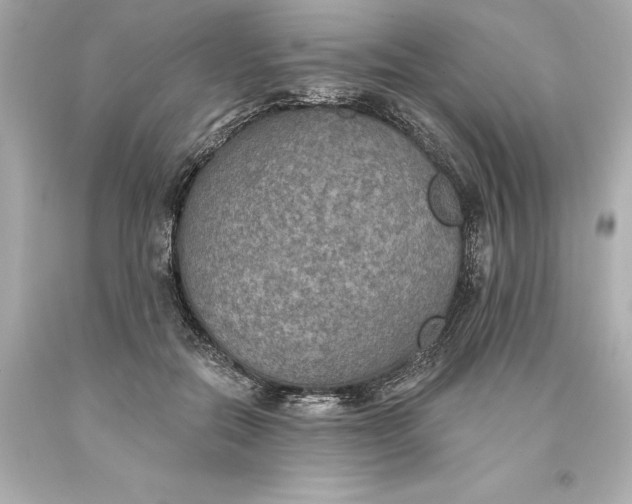 X0000093620554200710291228