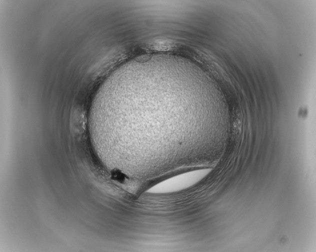 X0000093620555200710291228