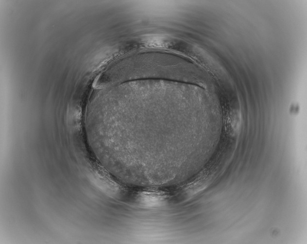 X0000093620556200710291228