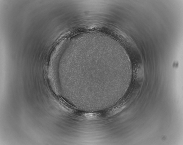 X0000093620558200710291228