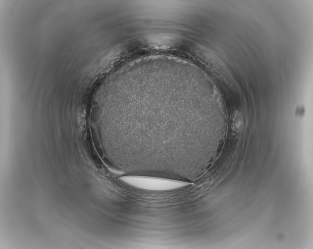 X0000093620559200710291228