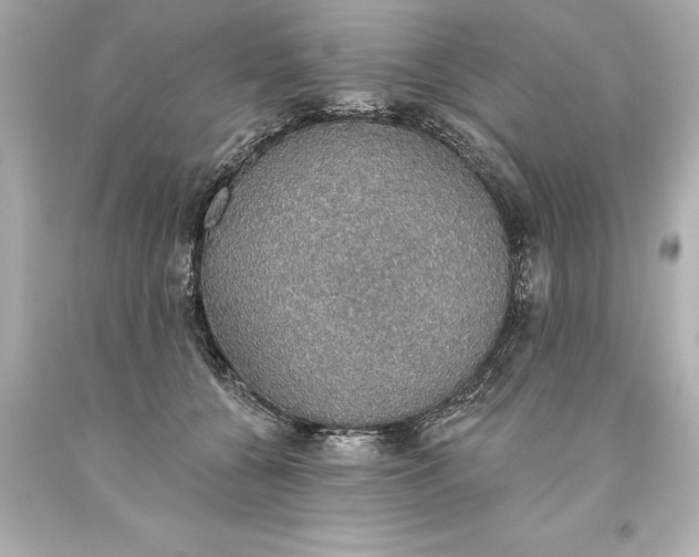 X0000093620560200710291228