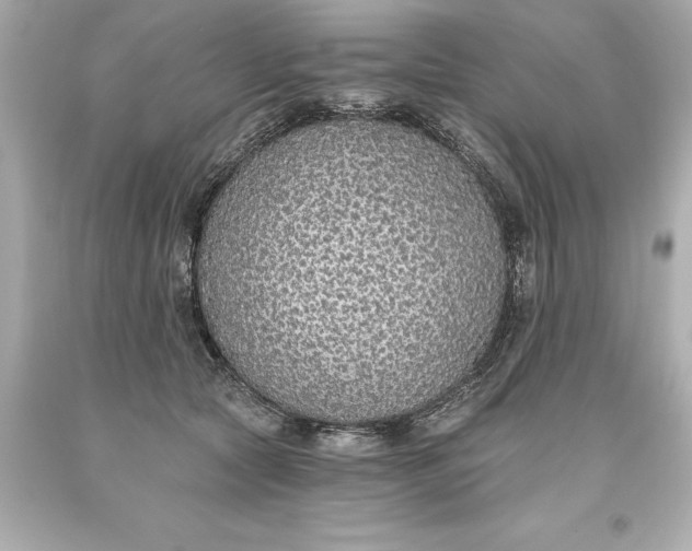 X0000093620561200710291228