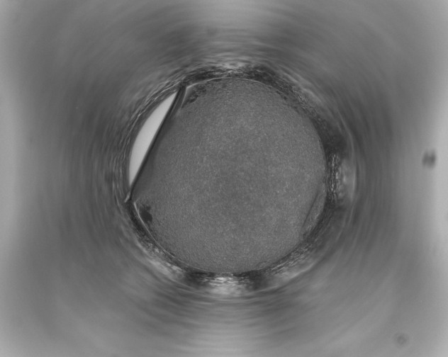 X0000093620562200710291228