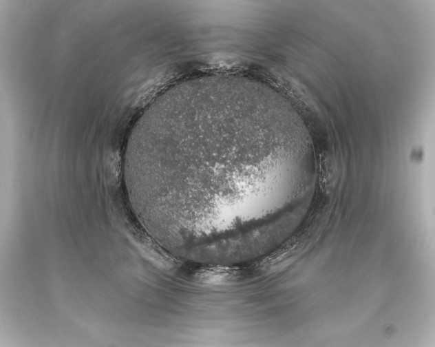 X0000093620563200710291228
