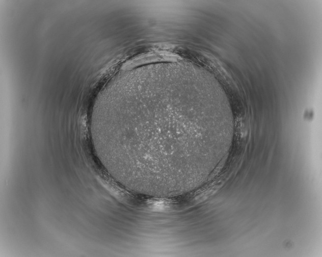 X0000093620564200710291228