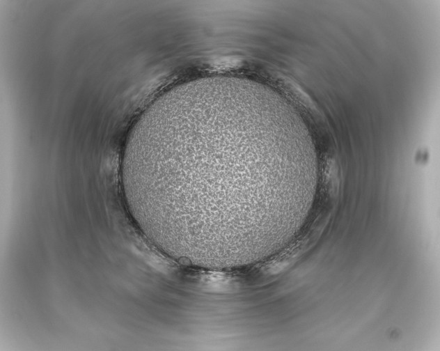 X0000093620565200710291228