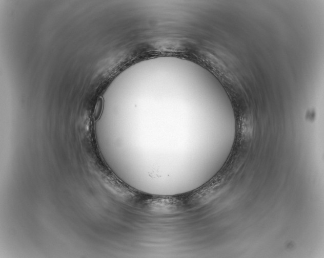 X0000093620567200710291228