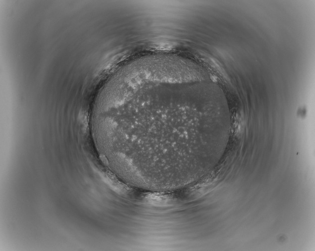 X0000093620568200710291228