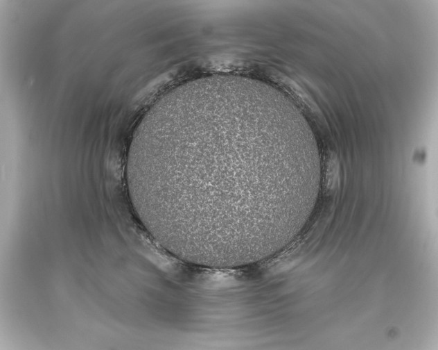 X0000093620569200710291228