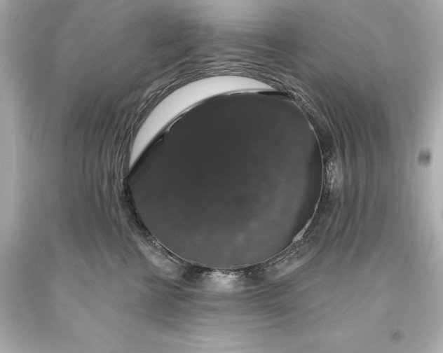 X0000093620570200710291228