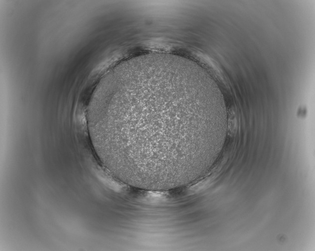 X0000093620573200710291228