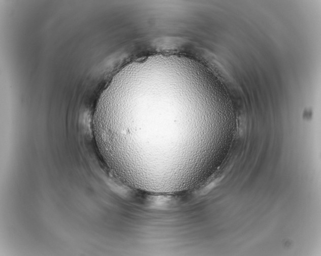 X0000093620575200710291228