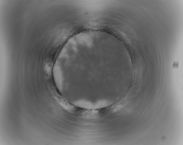X0000093620576200710291228