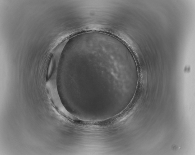 X0000093620577200710291228