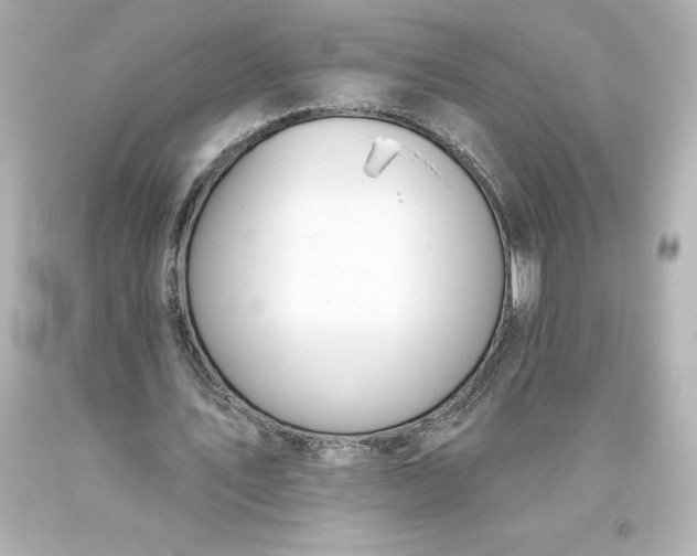 X0000093620579200710291228