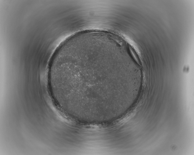 X0000093620580200710291228