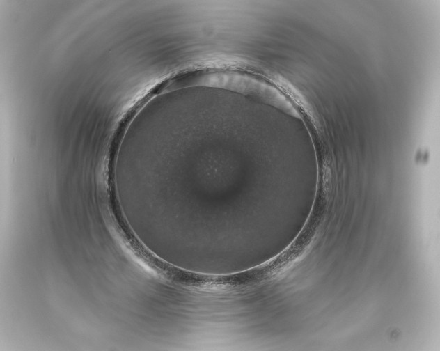 X0000093620581200710291228